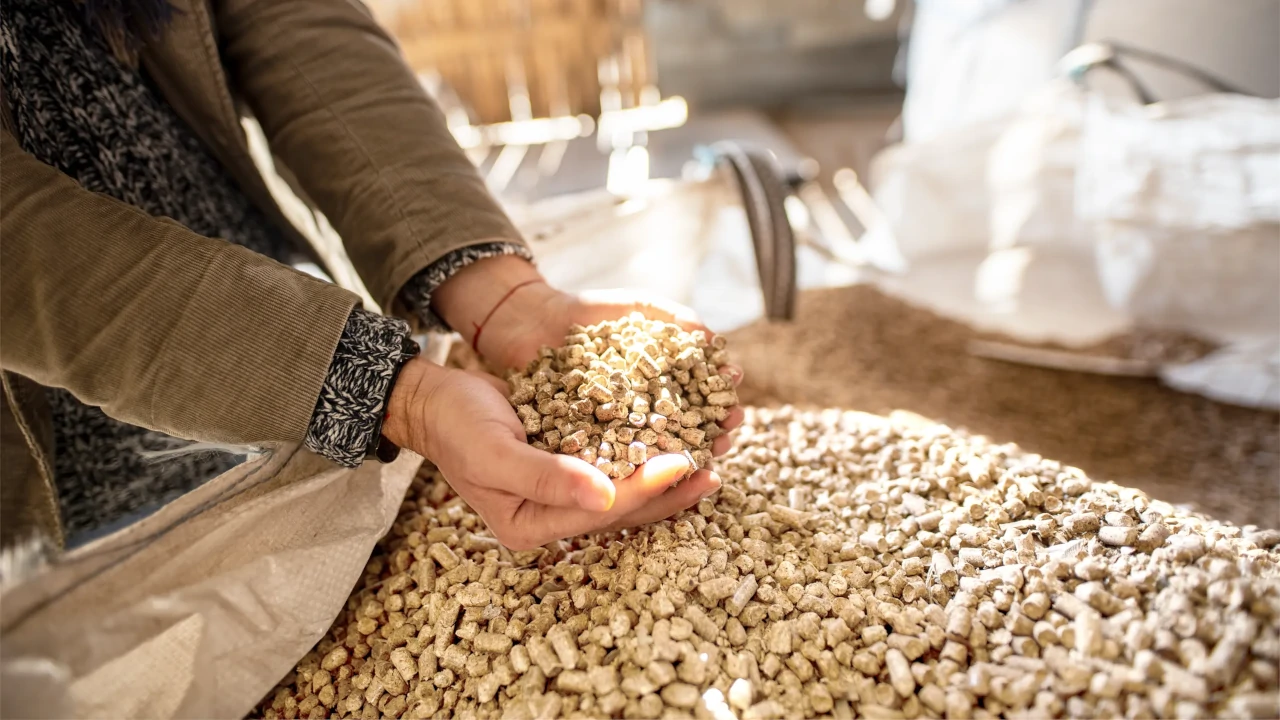 Hände halten Certified Premium Pellets